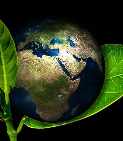 Eco 1